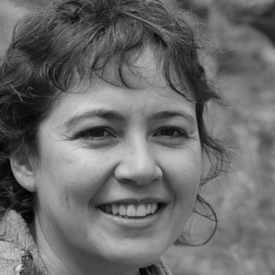 Finanzanalystin bei der Modellentwicklung